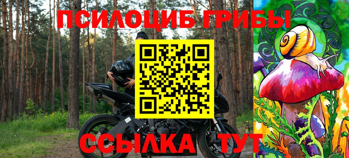 Белебей  Псилоцибиновые грибы Magic Shrooms  Вход с VPN 